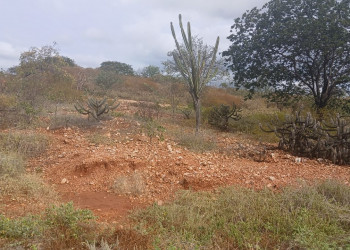 Semarh identifica que mais de 120 municípios enfrentam a 