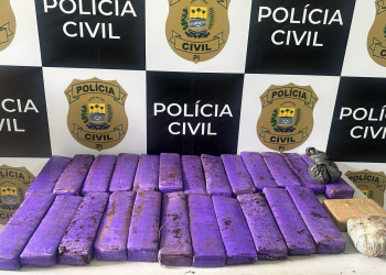 Após denúncia, Polícia apreende sementes de maconha, cocaína e crack em terreno baldio no Piauí