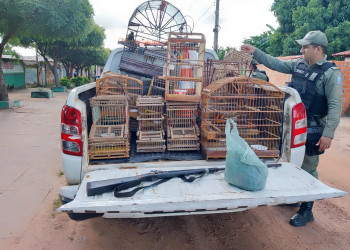 Homem é flagrado com arma de fogo e aves silvestres em cativeiro no interior do Piauí