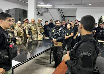 Delegado faz balanço sobre operação deflagrada em nove cidades do Piauí contra foragidos da Justiça