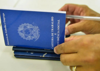 Desemprego entre jovens cai pela metade entre 2019 e 2024