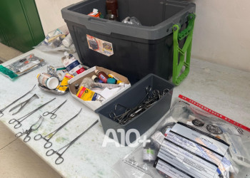 Procedimentos ilegais feitos por falsos veterinários causavam muito sofrimento aos animais em Teresina, diz delegada