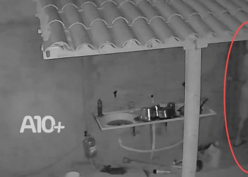 Homem é preso após invadir e furtar residência de idosa no interior do Piauí; VÍDEO
