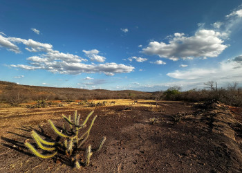 Após 7 anos, Piauí volta a registrar seca extrema que atinge mais de 22% do território