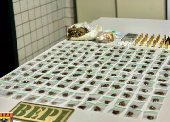 Bepi apreende grande quantidade de drogas prontas para comercialização em Teresina; traficantes fugiram