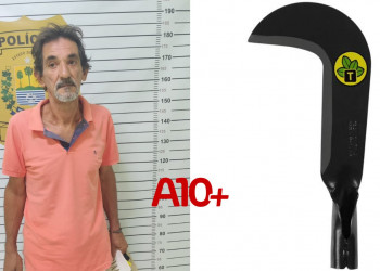 Homem é preso após tentar furtar foice de loja de materiais de construção em Parnaíba, litoral do Piauí