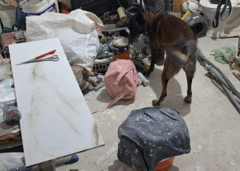 Homem que mantinha boca de fumo no interior do Piauí é preso com drogas, armas e mais de R$ 2 mil em espécie