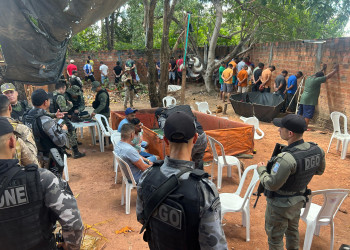 PM prende mais de 40 pessoas envolvidas em rinhas de galo em Teresina; aves eram submetidas à substâncias químicas para estimular agressividade
