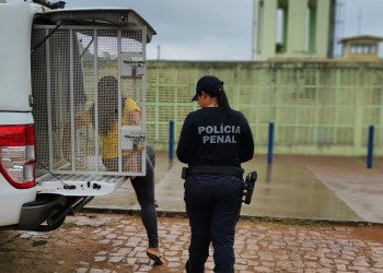 Mulher que tentava entrar em presídio com drogas escondidas nas partes íntimas é detida no Piauí