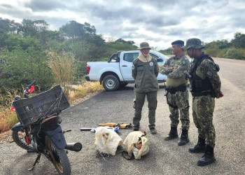 Armas, motos e animais silvestres abatidos são apreendidos em Operação no Parque Serra das Confusões