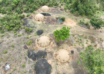 Em megaoperação, Secretaria do Meio Ambiente flagra mais de 30 fornos ilegais de carvão no interior do Piauí