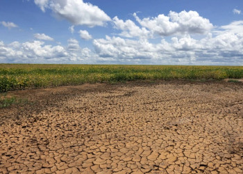 Secretaria de Meio Ambiente diz que seca permanece em todos os municípios do Piauí e se agrava em 134