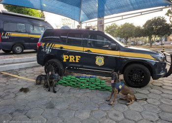 PRF prende 4 pessoas e apreende mais de 60 kg de drogas escondidas dentro de cilindros metálicos e mochilas em caminhões nas BRs do Piauí