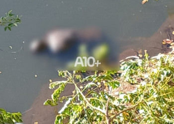 Corpo de homem é encontrado boiando no rio Parnaíba, entre Piauí e Maranhão