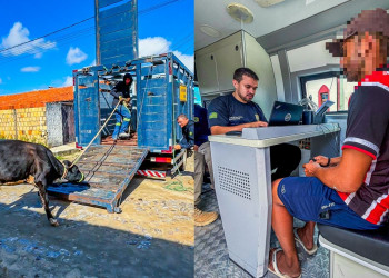 Operação Porteira Fechada apreende 60 animais soltos em vias públicas no litoral do Piauí