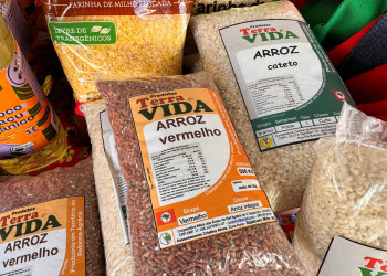 Uva piauiense, arroz vermelho, mel: produtos agroecológicos movimentam Feira Estadual da Reforma Agrária em Teresina