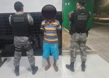 Suspeito de matar gatos dos vizinhos é preso no Piauí; arma que teria sido usada nos crimes foi apreendida