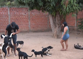 Cuidador independente precisa de ajuda para manter mais de 60 animais em Teresina: “eles são a minha vida”; VÍDEO!
