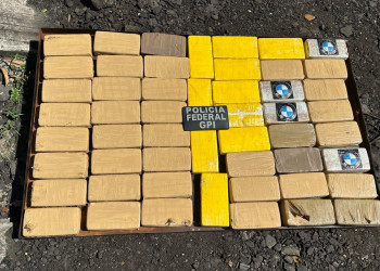 Polícia Federal deflagra operação e apreende mais de 300 kg de drogas; mandados em Teresina
