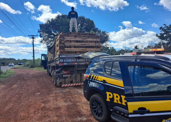 PRF intensifica combate ao desmatamento no Piauí: operação flagra madeira ilegal, drogas e fraude documental