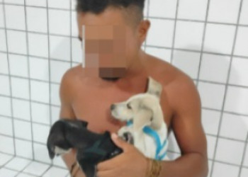 Homem é preso suspeito de tentar afogar filhotes de cachorro na praia da Pedra do Sal, no Piauí