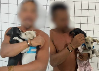 Homem é preso suspeito de tentar afogar filhotes de cachorro na praia da Pedra do Sal, no Piauí