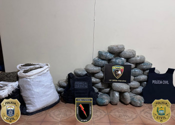 Em ação conjunta, Polícias do Piauí e Pernambuco apreendem mais de 80kg de maconha; 4 homens são presos