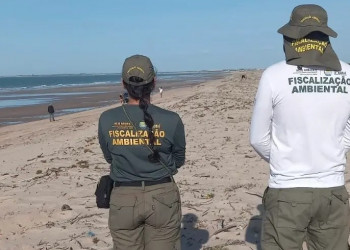 Fiscalização ambiental reforça proteção nas praias do Piauí nas férias de julho