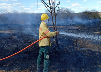 Brigadistas controlam incêndio de grandes proporções em Bom Jesus