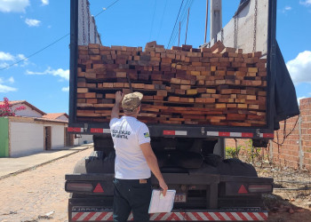Mais de 120m³ de madeira ilegal são apreendidos no litoral do Piauí; material pode ser destinado a obras públicas