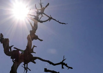 Inverno derruba temperaturas na madrugada e umidade do ar à tarde no sul do Piauí