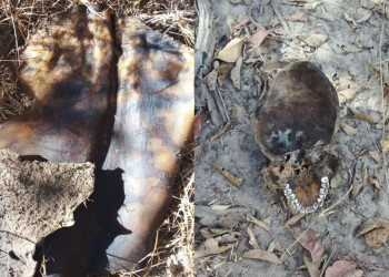 Ossada humana é encontrada em matagal no interior do Piauí