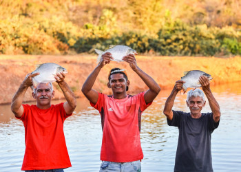 Semana Santa impulsiona produção de peixes no Piauí e amplia renda de agricultores familiares