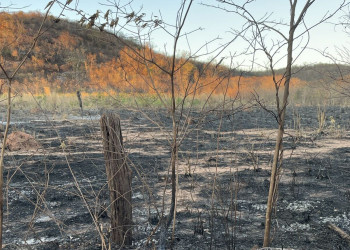 Defesa Civil alerta para aumento de incêndios e queimadas no período de B-R-O BRÓ em Teresina