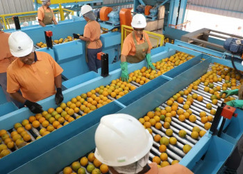 Confira a lista de quase 700 produtos que não serão taxados pelos EUA