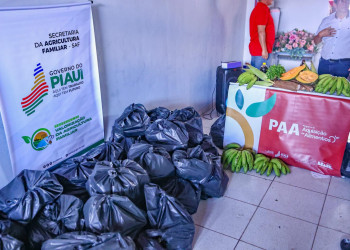 SAF entrega 7 toneladas de alimentos a famílias de agricultores que perderam produção por conta da estiagem em Fartura do Piauí