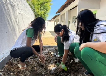 Projeto ProVerde leva educação ambiental para quase mil alunos em Teresina e União