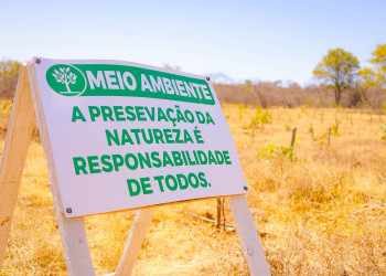Parque Estadual do Cânion do Rio Poti avança no reflorestamento da caatinga