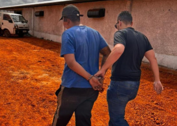 Polícia Civil prende em Goiás foragido suspeito de adulterar veículos no Piauí
