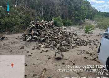 No Piauí, quase 50 cidades já encerraram atividades de lixões, aponta levantamento da Semarh