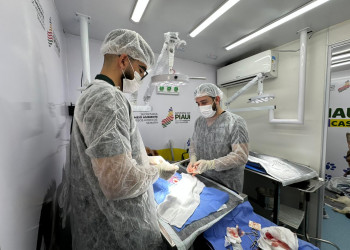 Castramóvel volta a funcionar com primeira ação aberta para a população