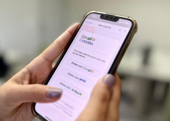 Mais de 1 milhão de piauienses já utilizam o Gov.pi Cidadão