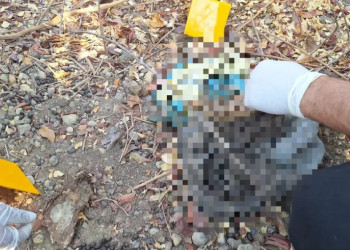 Restos mortais são encontrados em matagal de difícil acesso no interior do Piauí; polícia investiga