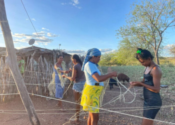 Governo do Piauí fortalece protagonismo feminino e juventude rural por meio do Projeto Piauí Sustentável e Inclusivo