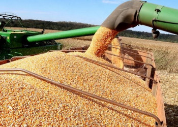 IBGE: Piauí registra 5,67 milhões de toneladas de grãos e apresenta queda de produção pelo 2º ano consecutivo