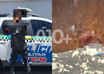 Homem é preso após esfaquear cavalo e ameaçar populares no interior do Piauí