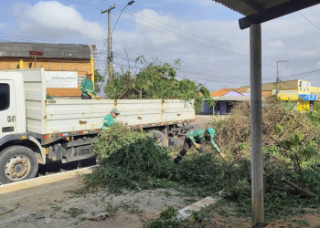 Mutirão de limpeza pública: prefeito Francisco Emanuel intensifica ações de domingo a domingo em Parnaíba