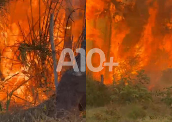 Incêndio de grandes proporções atinge área de vegetação no interior do Piauí; VÍDEO!