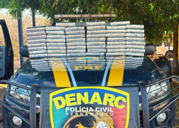 PRF apreende mais de 50 kg de cocaína dentro de carro no Piauí; homem é preso