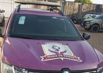 Após denúncia anônima, homem é preso por violência doméstica no Sul do Piauí